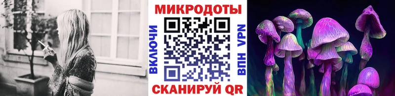 Псилоцибиновые грибы Cubensis  OMG сайт  Нестеровская 